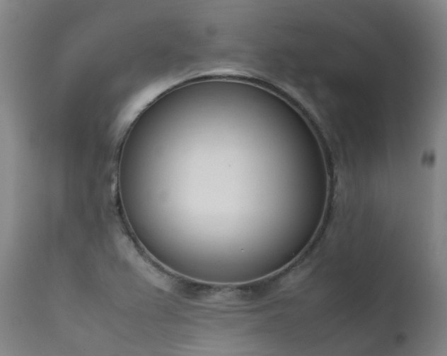 X0000111661367200907171559