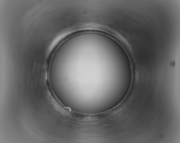 X0000111661368200907171559