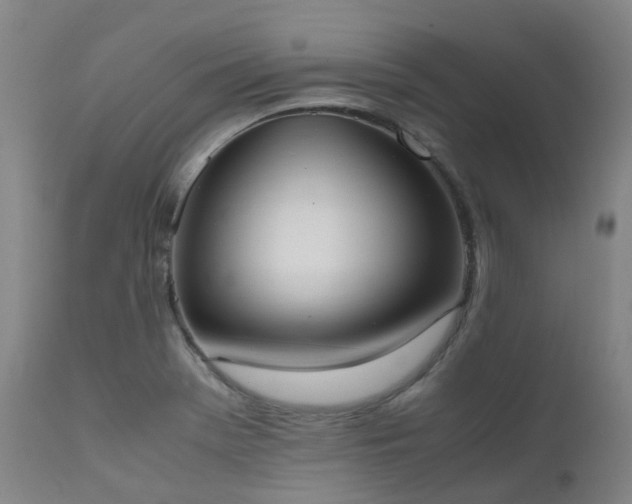 X0000111661369200907171559