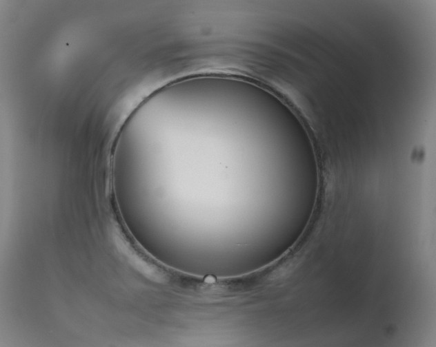 X0000111661371200907171559