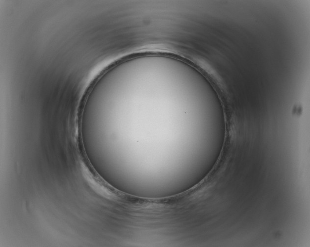 X0000111661372200907171559