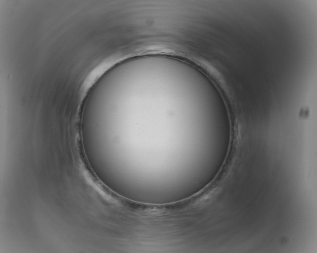 X0000111661373200907171559