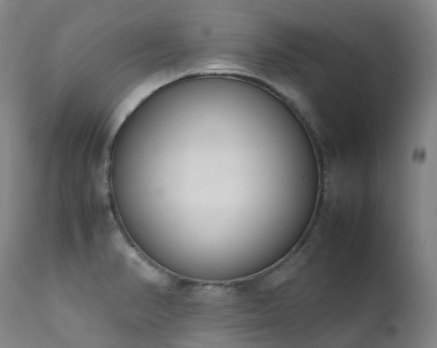 X0000111661374200907171559