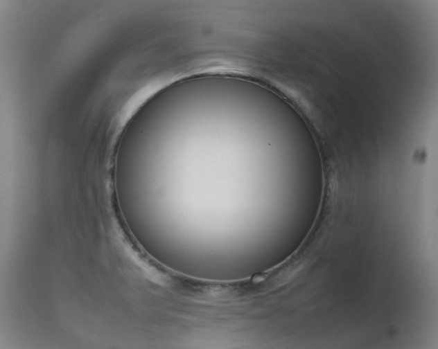 X0000111661375200907171559