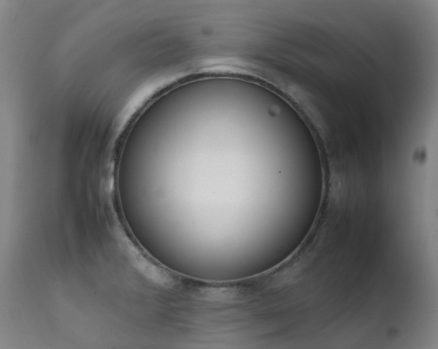 X0000111661376200907171559