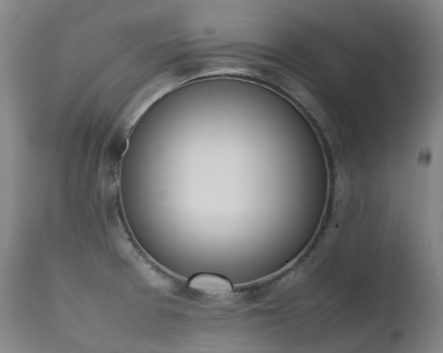 X0000111661377200907171559