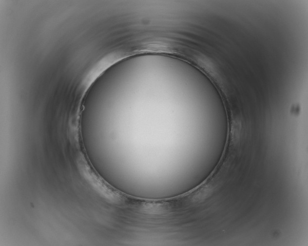 X0000111661378200907171559