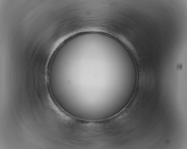 X0000111661380200907171559