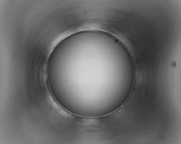 X0000111661382200907171559