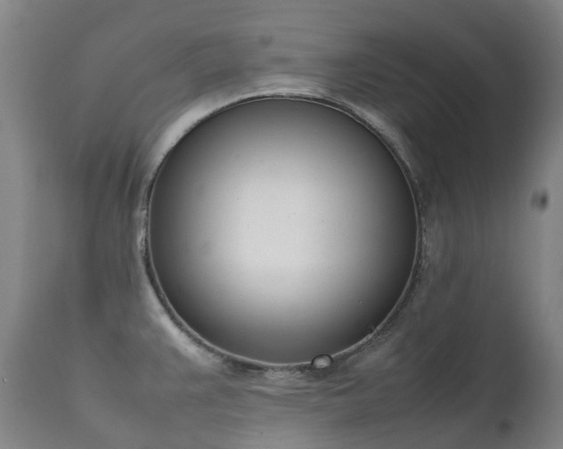 X0000111661383200907171559