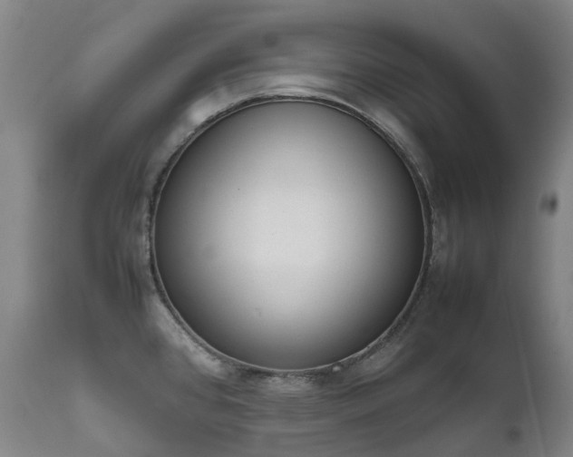 X0000111661384200907171559