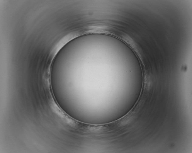 X0000111661386200907171559