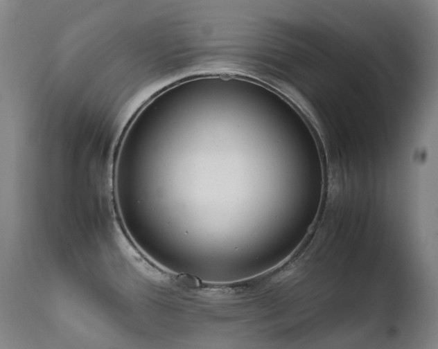 X0000111661388200907171559
