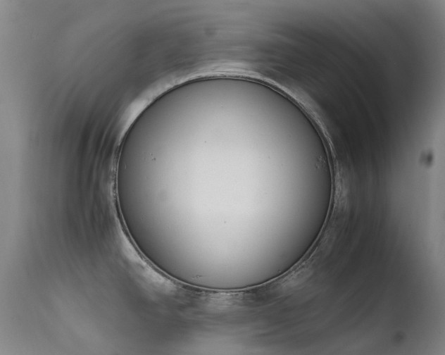 X0000111661390200907171559