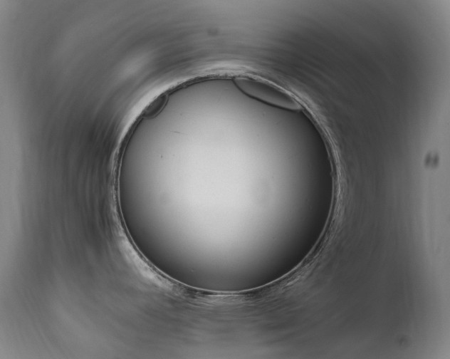 X0000111661392200907171559