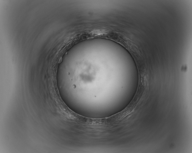X0000111661393200907171558