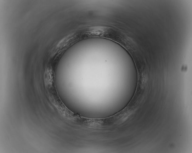 X0000111661394200907171558
