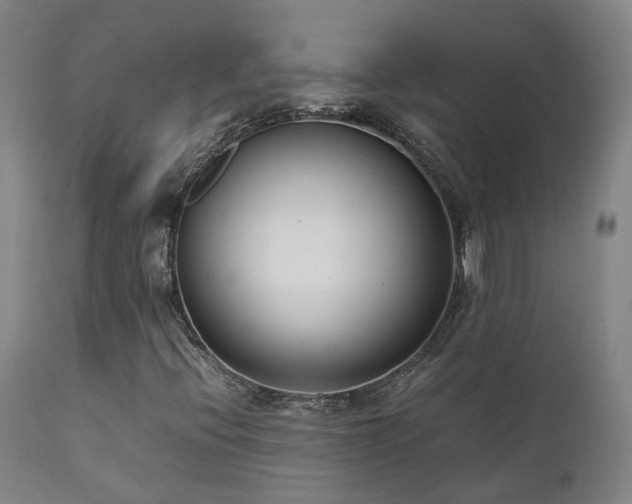 X0000111661396200907171558