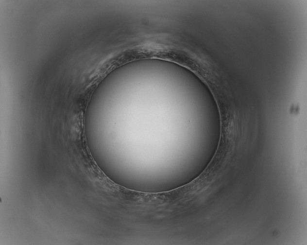 X0000111661397200907171558