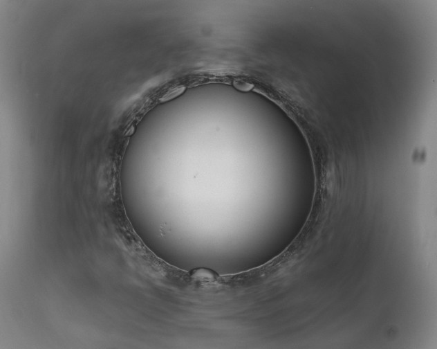 X0000111661398200907171558
