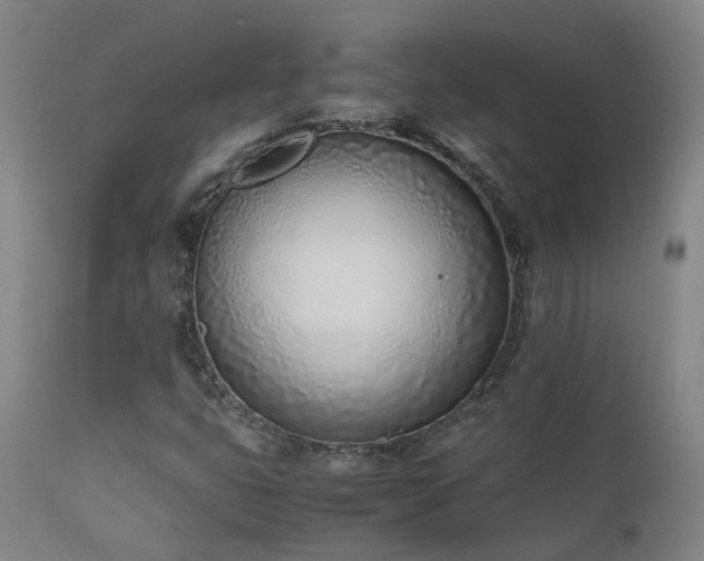X0000111661399200907171558