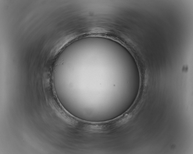X0000111661401200907171558