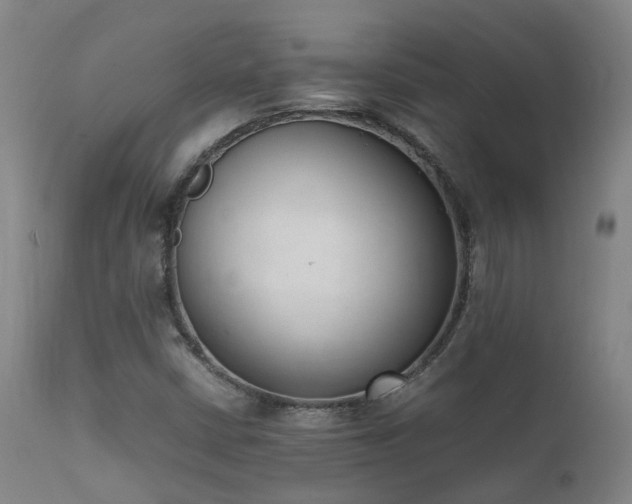 X0000111661402200907171558