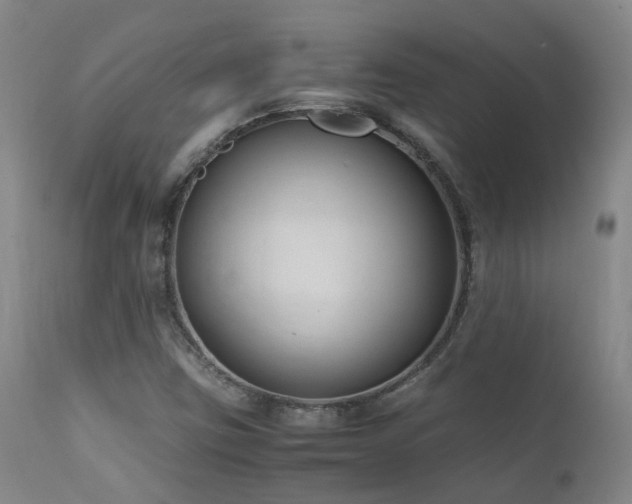 X0000111661403200907171558