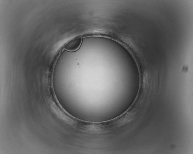 X0000111661404200907171558