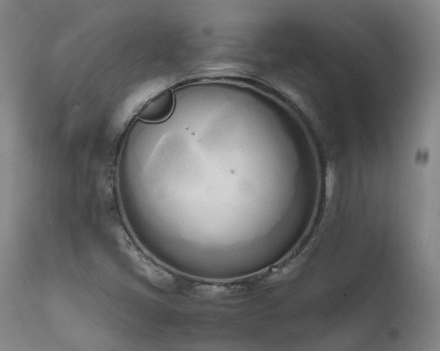 X0000111661405200907171558