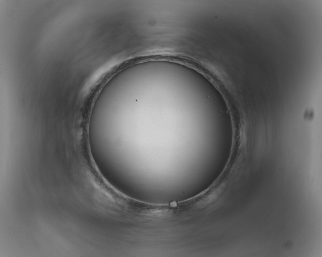 X0000111661406200907171558