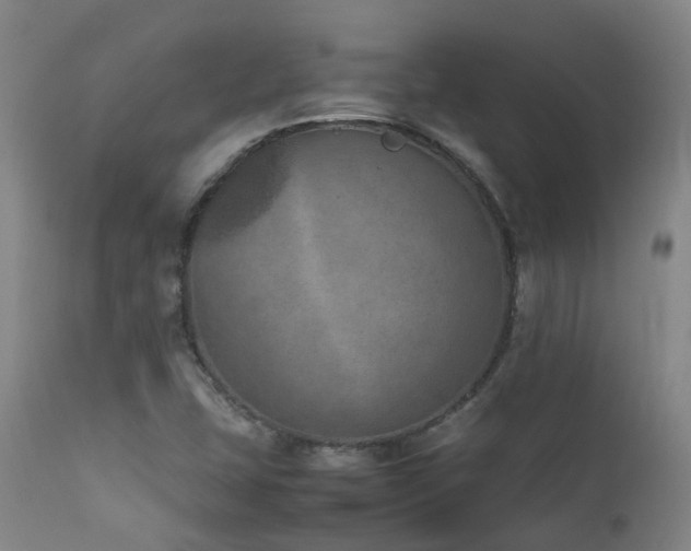 X0000111661407200907171558