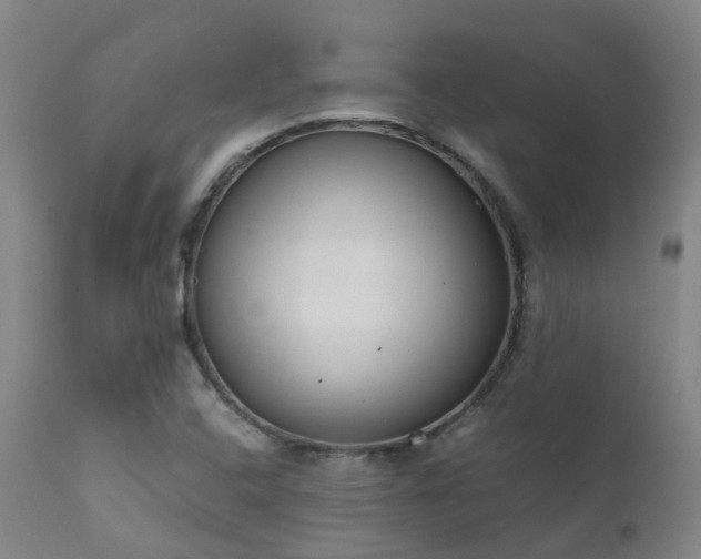 X0000111661408200907171558