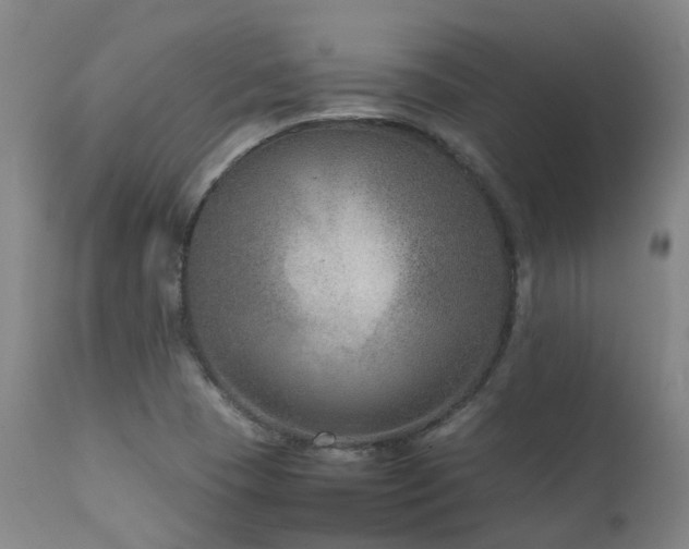 X0000111661409200907171558