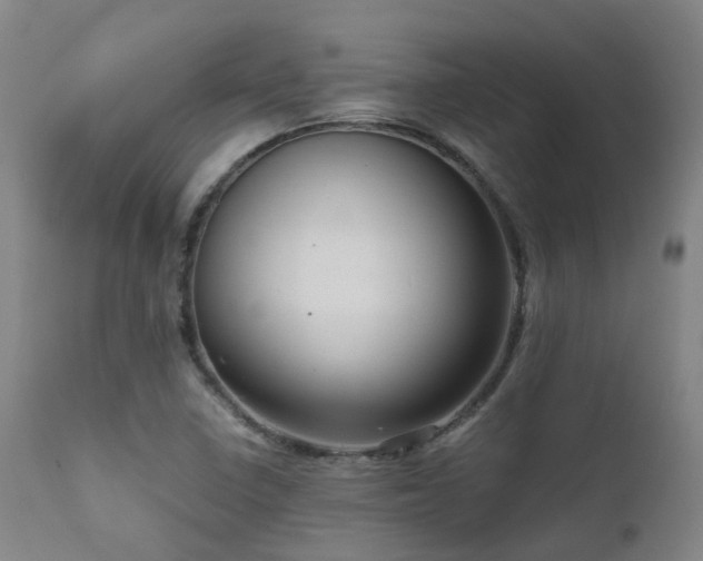 X0000111661410200907171558