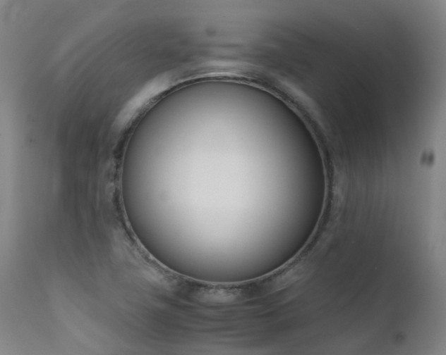 X0000111661411200907171558