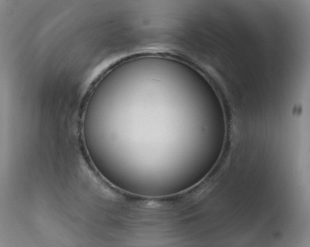 X0000111661412200907171558