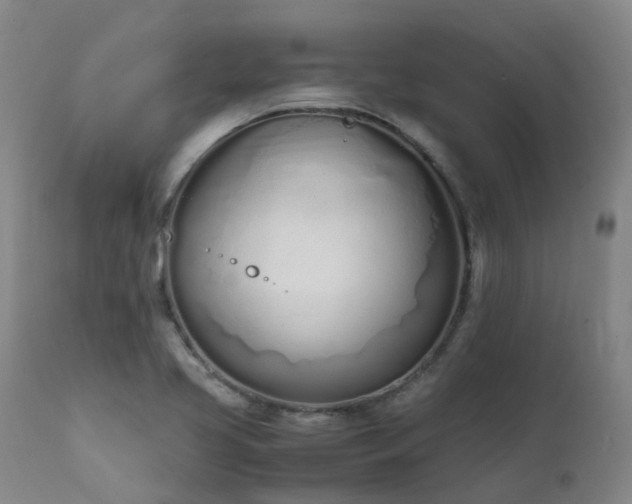 X0000111661413200907171558
