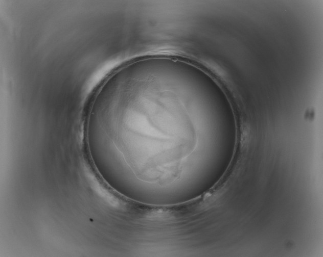 X0000111661414200907171558