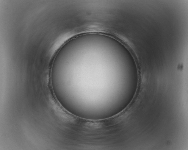 X0000111661415200907171558