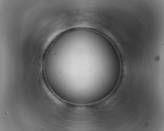 X0000111661416200907171558