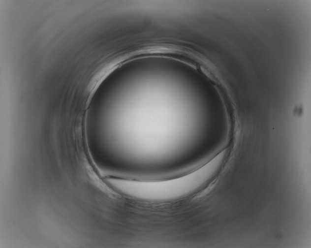 X0000111661417200907171558