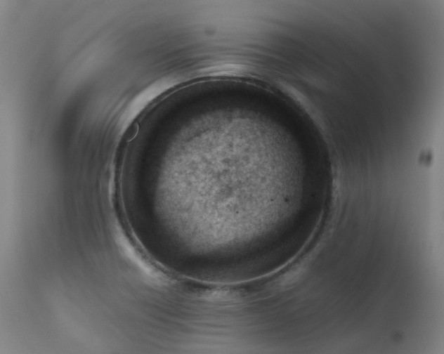 X0000111661418200907171558
