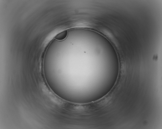 X0000111661419200907171558