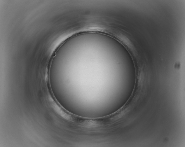X0000111661420200907171558
