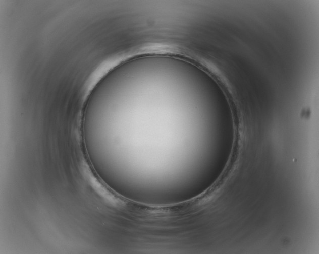 X0000111661421200907171558