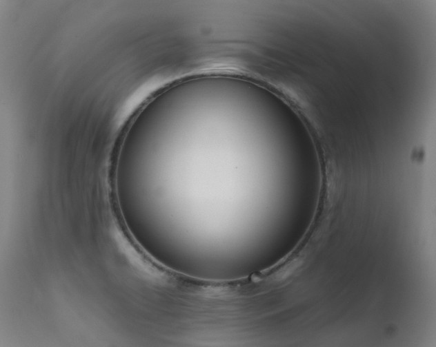 X0000111661422200907171558