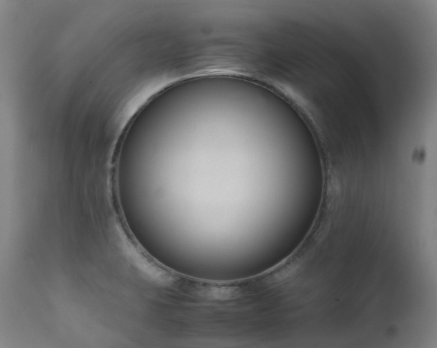 X0000111661423200907171558
