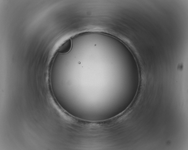 X0000111661424200907171558