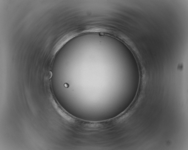 X0000111661425200907171558
